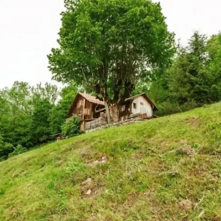 Heidi * Rossinière
