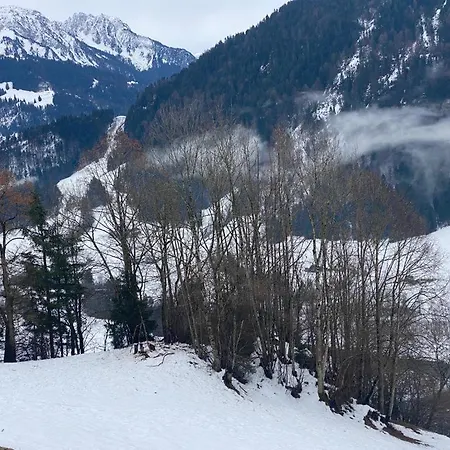 Chalet Heidi Rossinière
