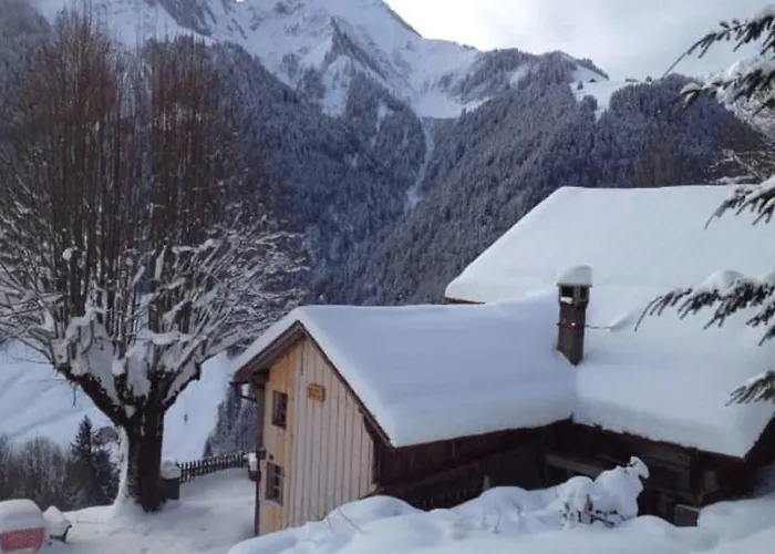 Chalet Heidi Rossiniere