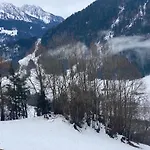 شاليه هايدي Rossinière